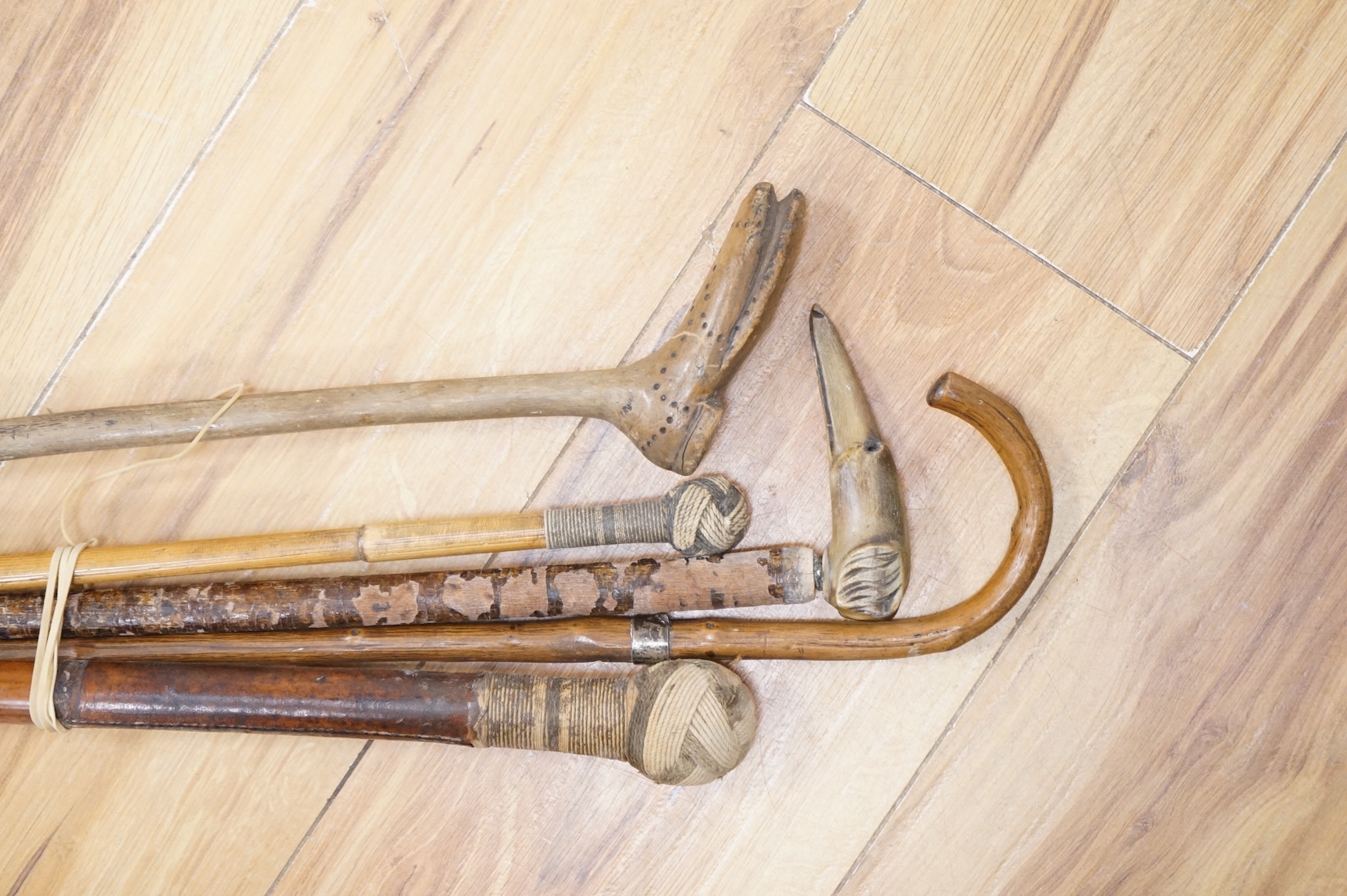 Five walking sticks to include two with rope work handles and one carved in the form of a dog's head, largest 94cm in length